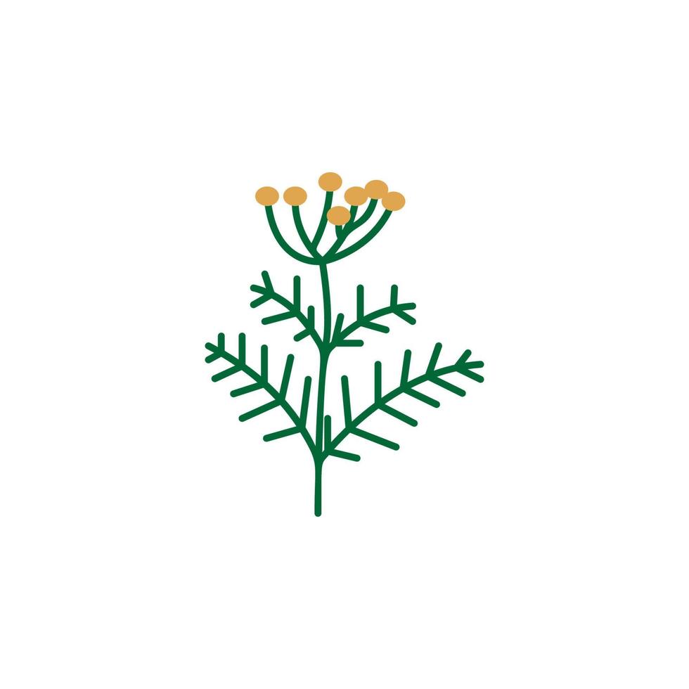 Herb vector icon