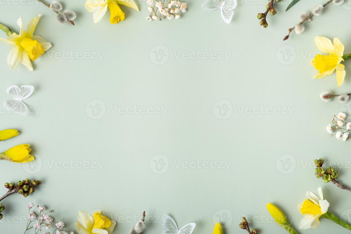Spring flowers flat lay frame composition on pastel green background with copy space. Daffodils and willow with butterfly top view photo