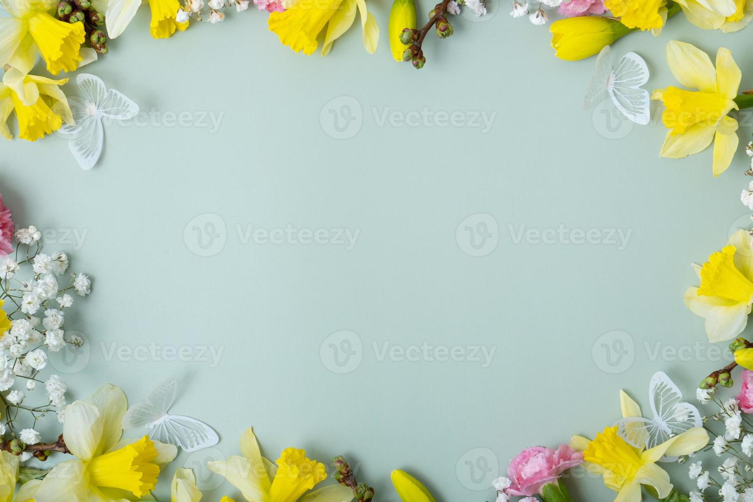 Spring flowers flat lay frame composition on colored background with copy space. Daffodils and willow with carnations top view photo