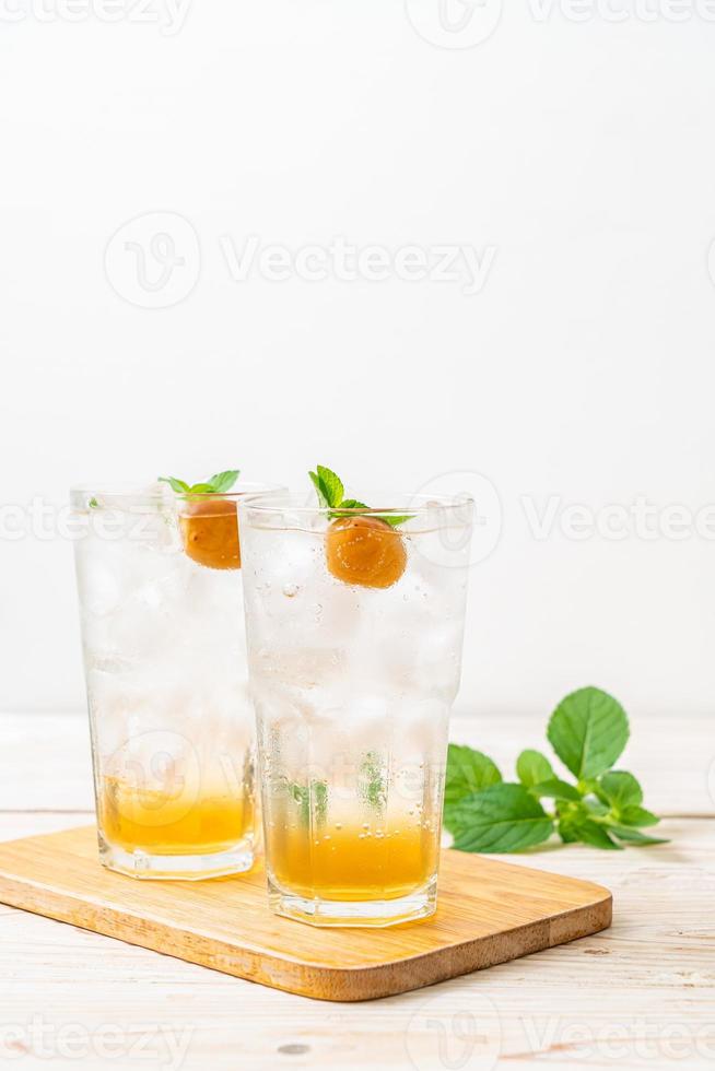 iced plum juice with soda and peppermint photo