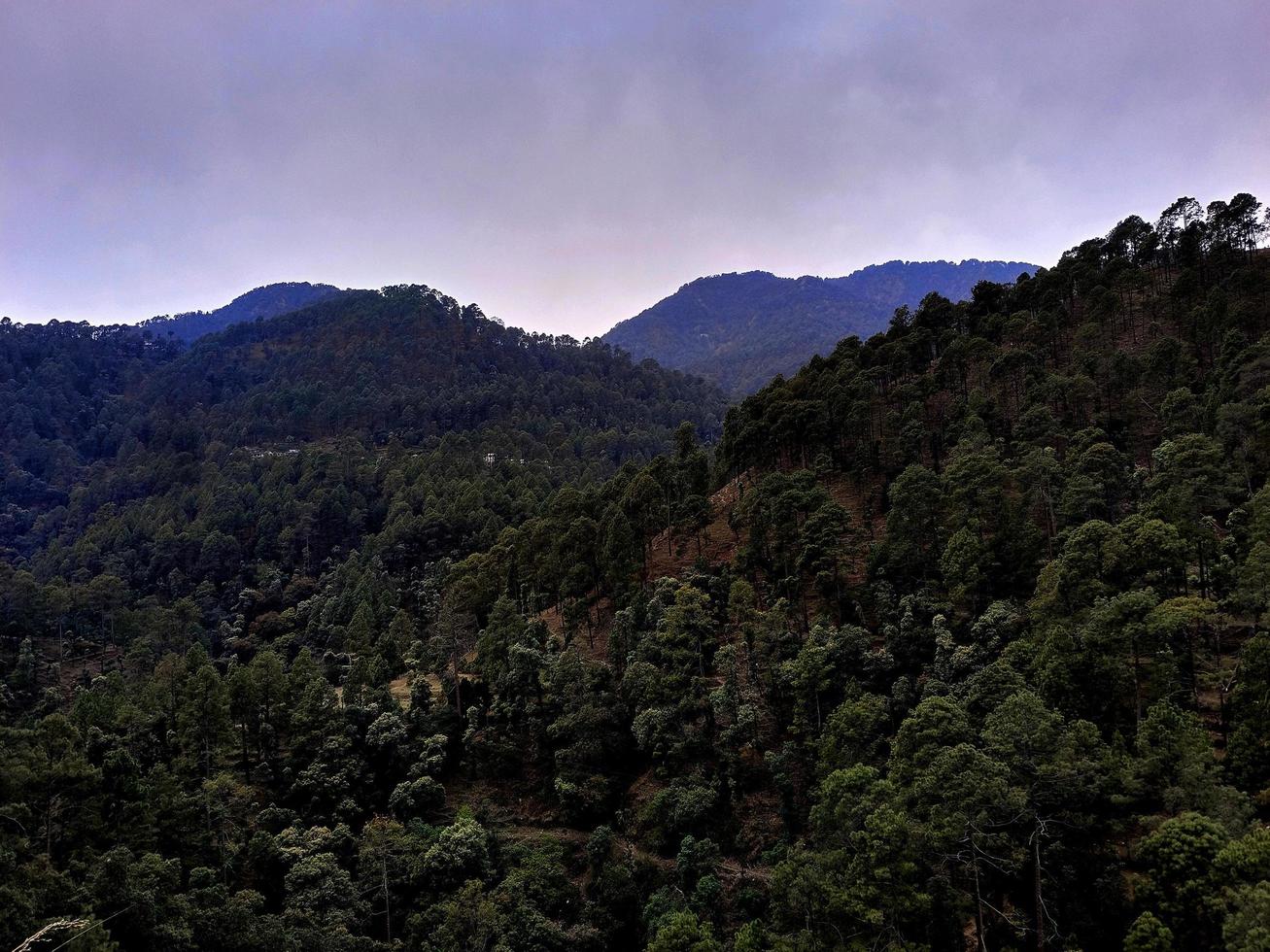 natural visión visto nainital, eso es un popular turista destino foto