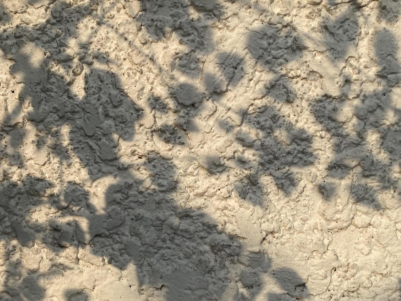 Leaves shadow background on concrete wall texture, leaves tree branches shade photo