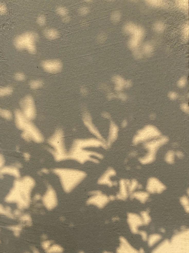 Leaves shadow background on concrete wall texture, leaves tree branches shade photo