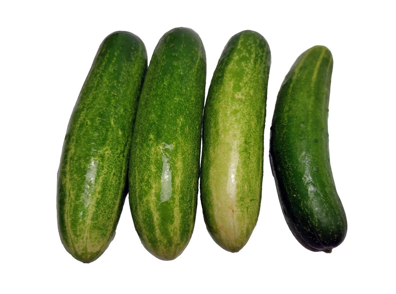 Cucumbers isolated in white background photo