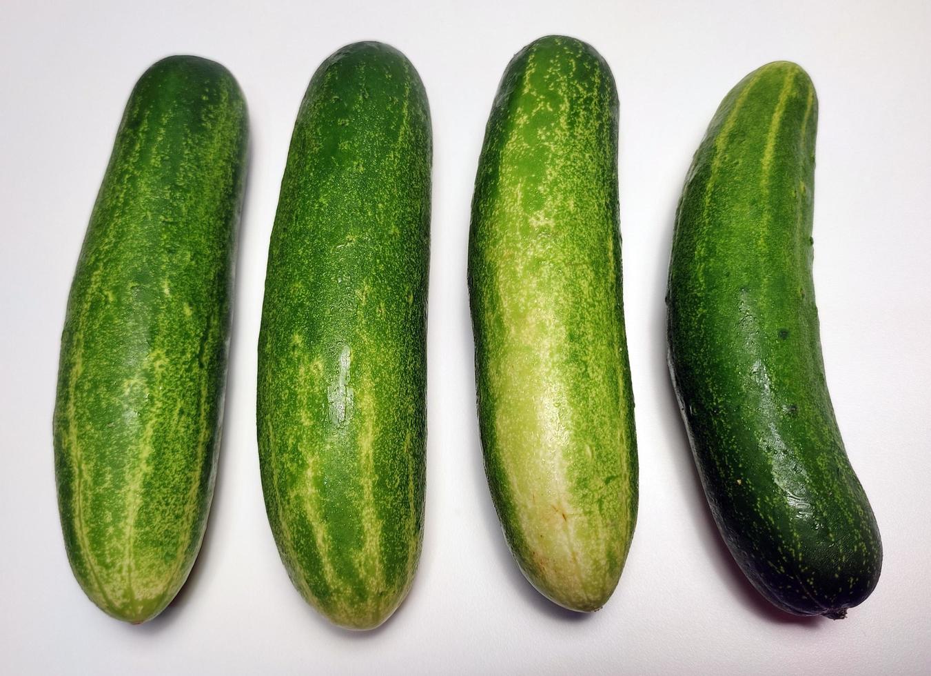 Cucumbers isolated in white background photo