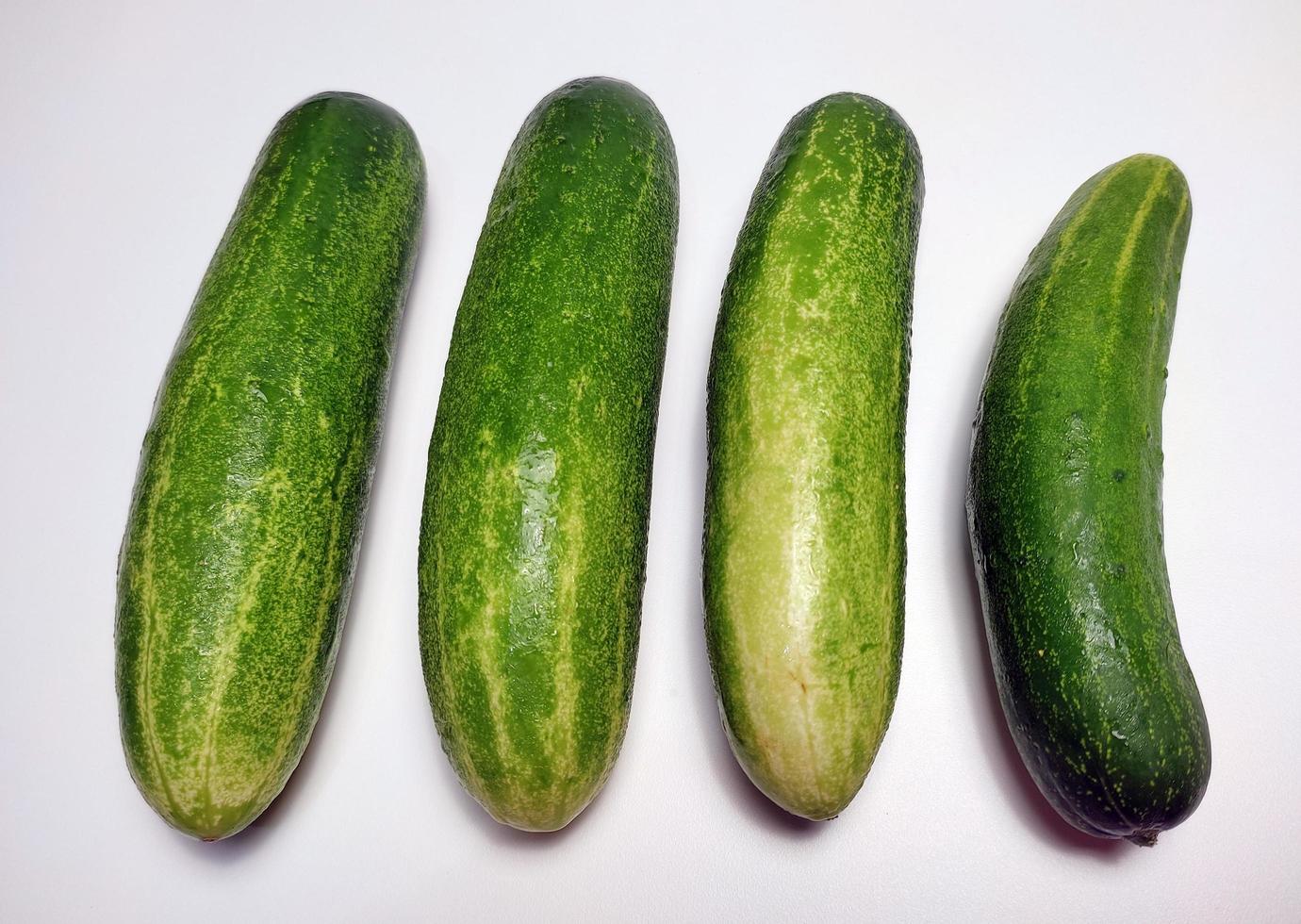 Cucumbers isolated in white background photo