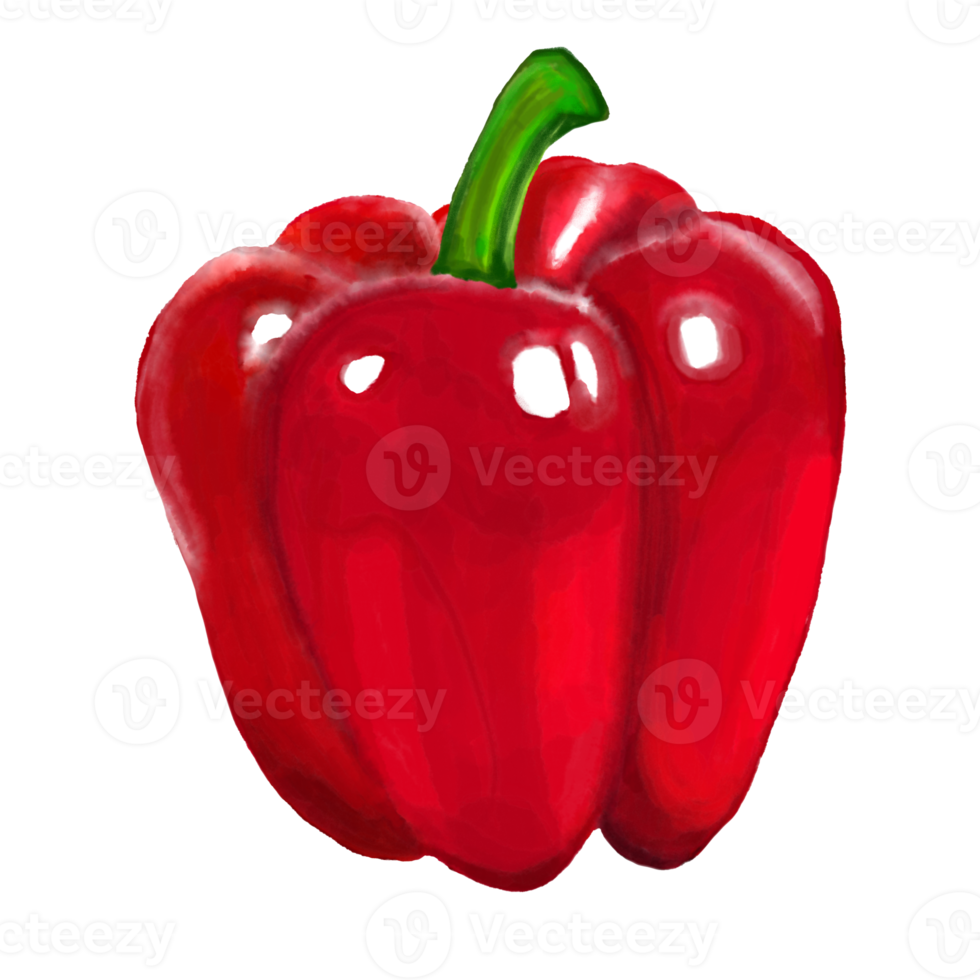 water kleur en olie verf voor rood klok peper png