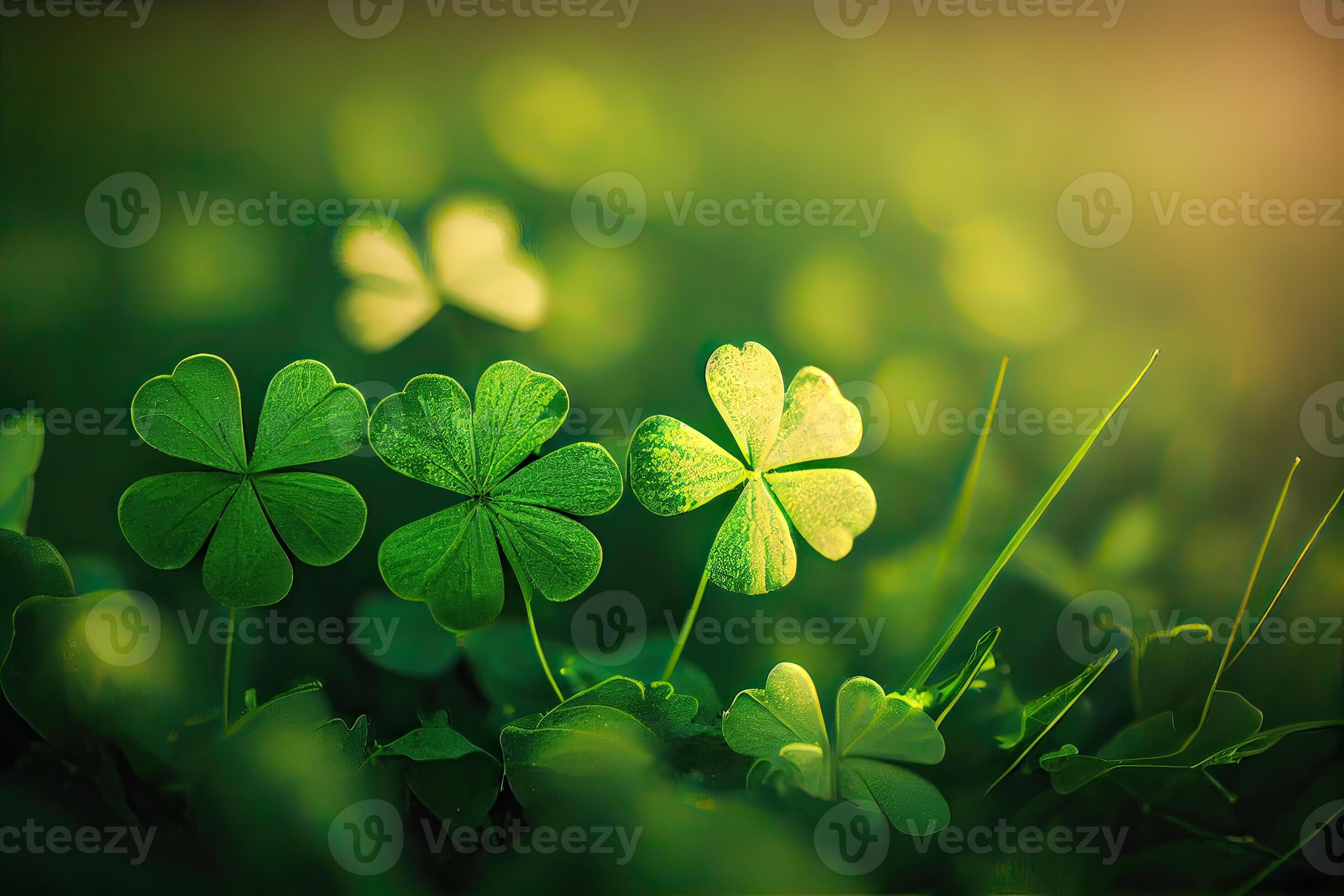 Four-leaf clovers in grass against blurred natural background. green clover  leaves. St.Patrick 's Day. Spring natural background. Generative Ai  22574685 Stock Photo at Vecteezy