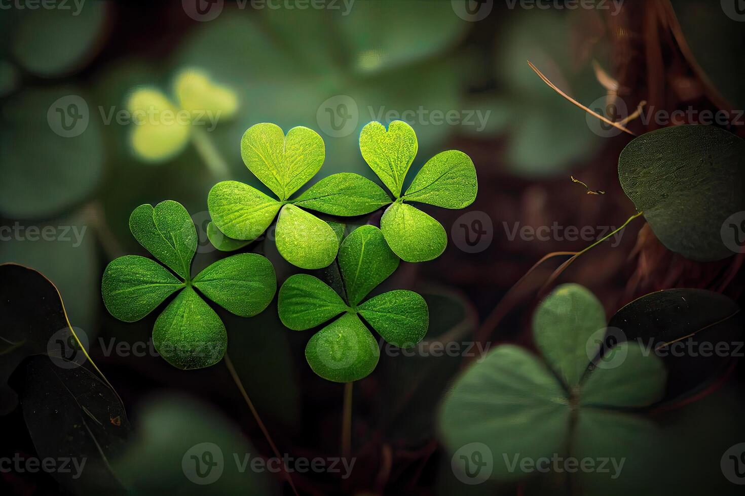 Four-leaf clovers in grass against blurred natural background. green clover leaves. St.Patrick 's Day. Spring natural background. photo