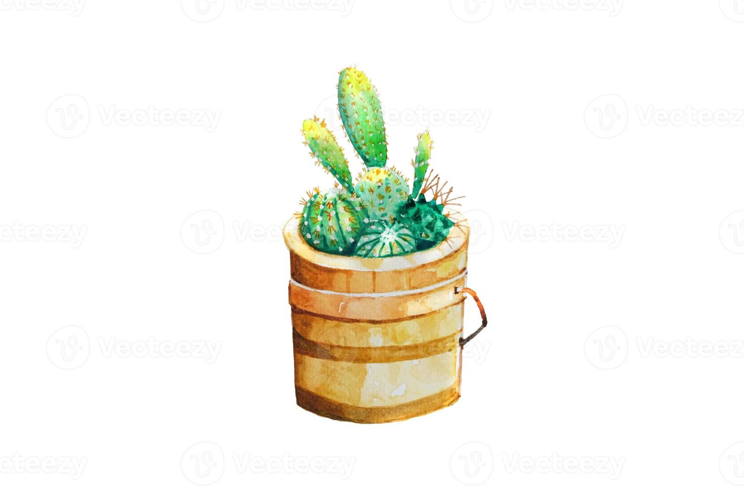 Cactus in wooden pot Watercolor hand painting on white paper Background photo