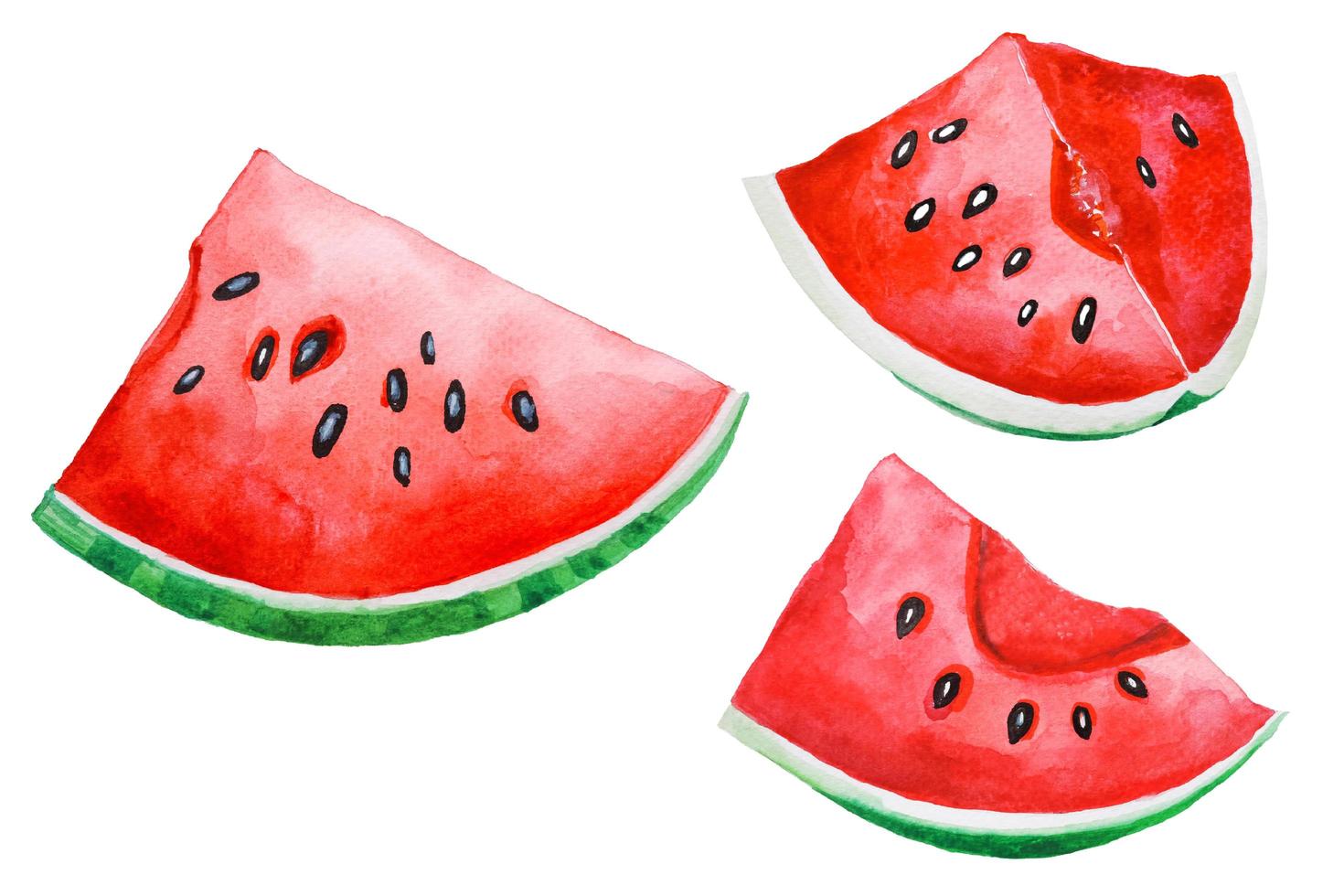 Fresh Watermelons sliced set Watercolor hand drawing and painting illustration isolated on white  paper Background. photo
