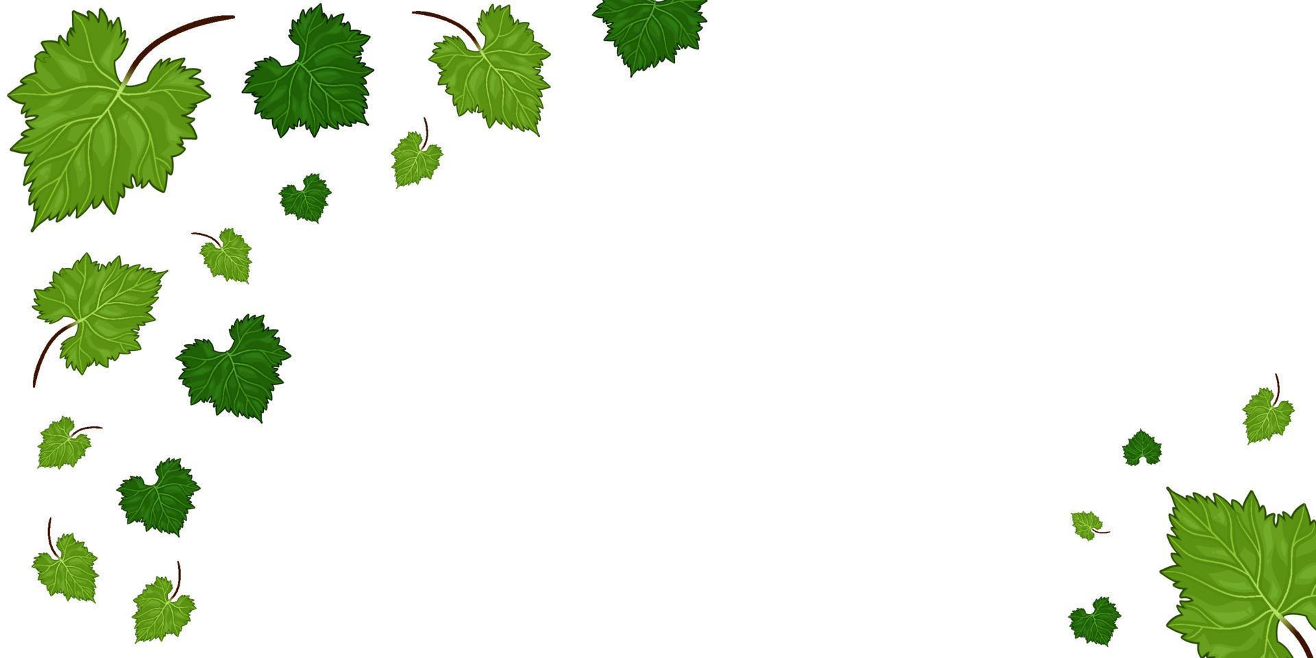 Grapes vine background with its branches and leaves. Free copy space for text. 22577709 Vector