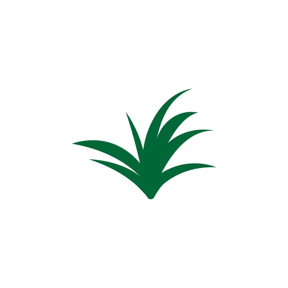 Herb, lemongrass vector icon