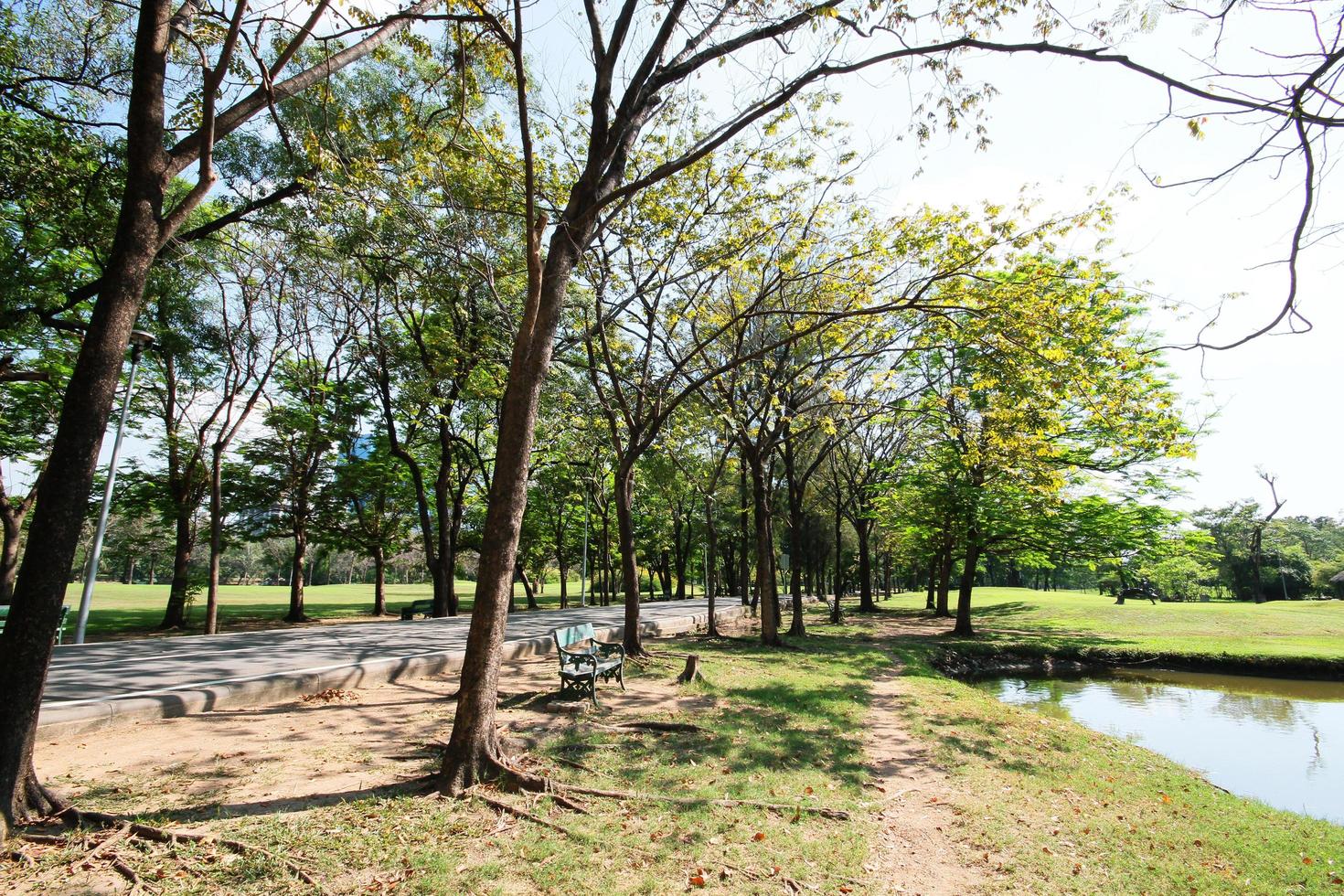 verde arboles y estanque en el jardín y publico parque en Tailandia foto