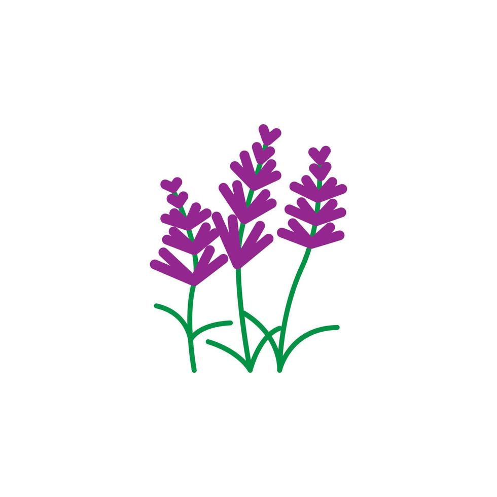 Herb, ginkgo vector icon