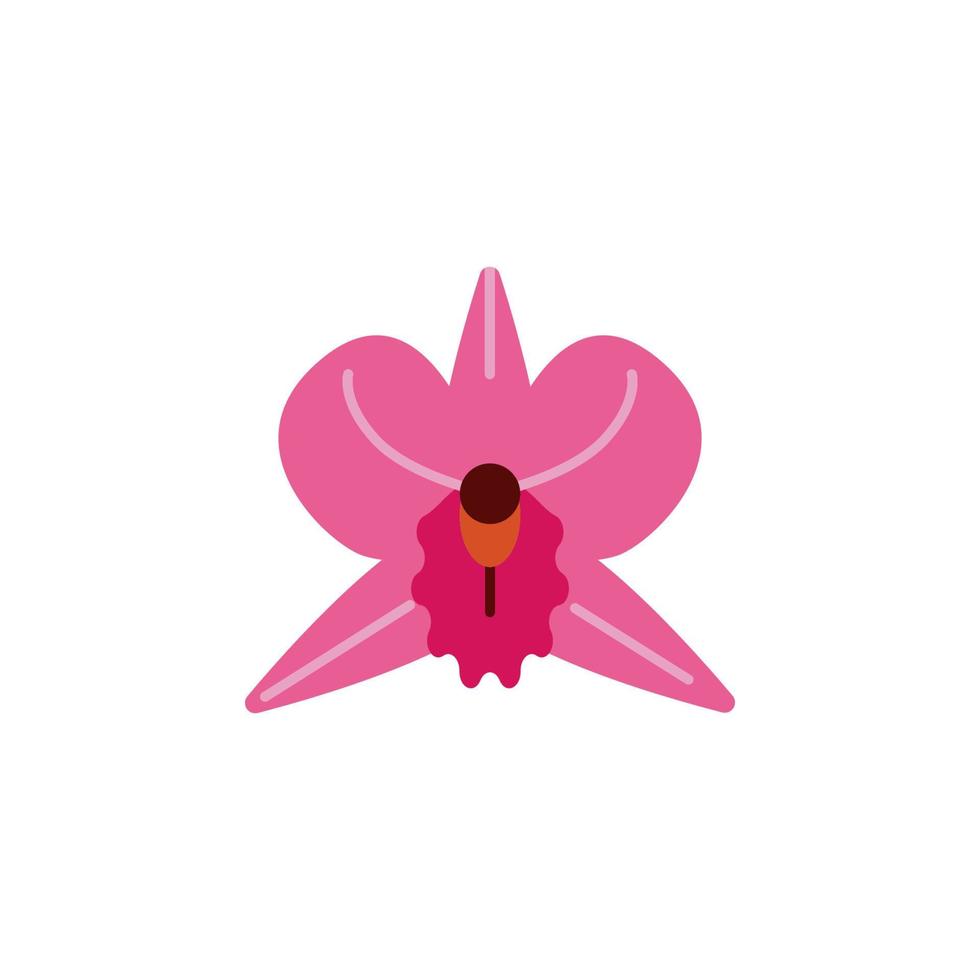 hierba, orquídea vector icono