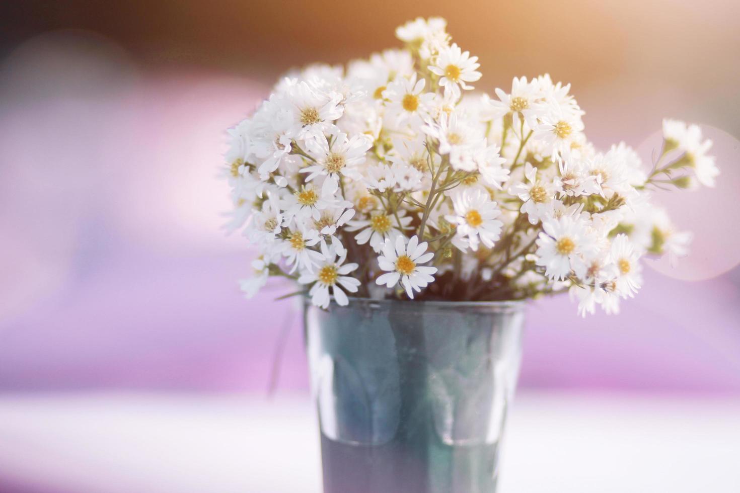 floreciente manzanilla flores en un aluminio maceta con calentar luz de sol decoración en el jardín. Boda al aire libre foto