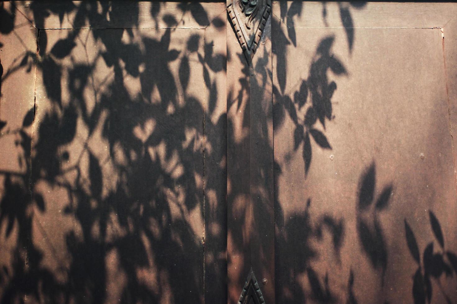 Tree shadows in the garden on antique thai style wooden window on brick wall. Vintage concept. photo