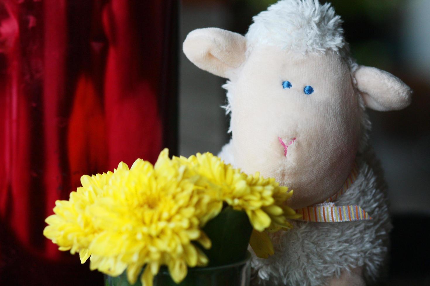 Happy sheep doll with yellow flowers decoration on colorful Tablecloth and table in coffee shop photo