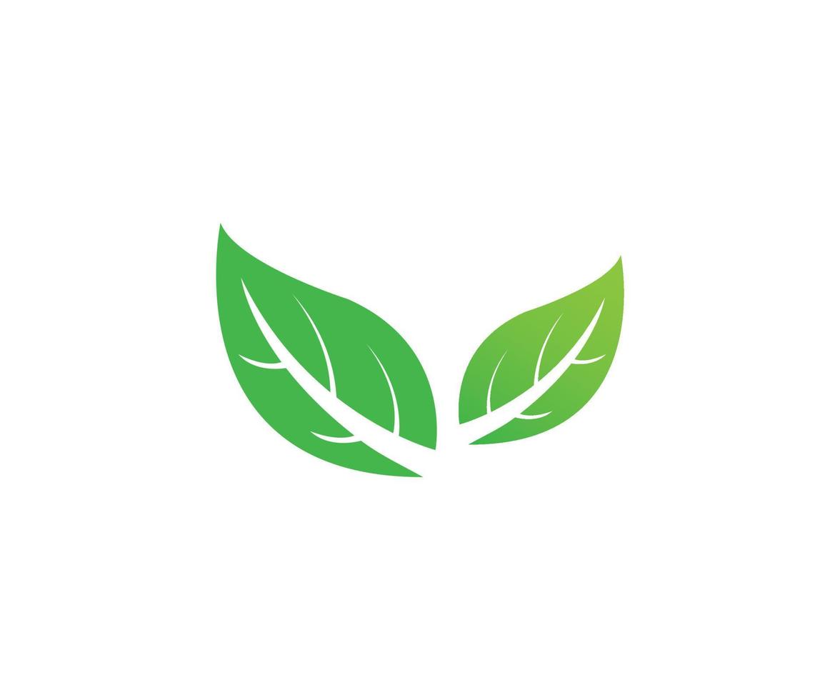 Leaves icon design vector template