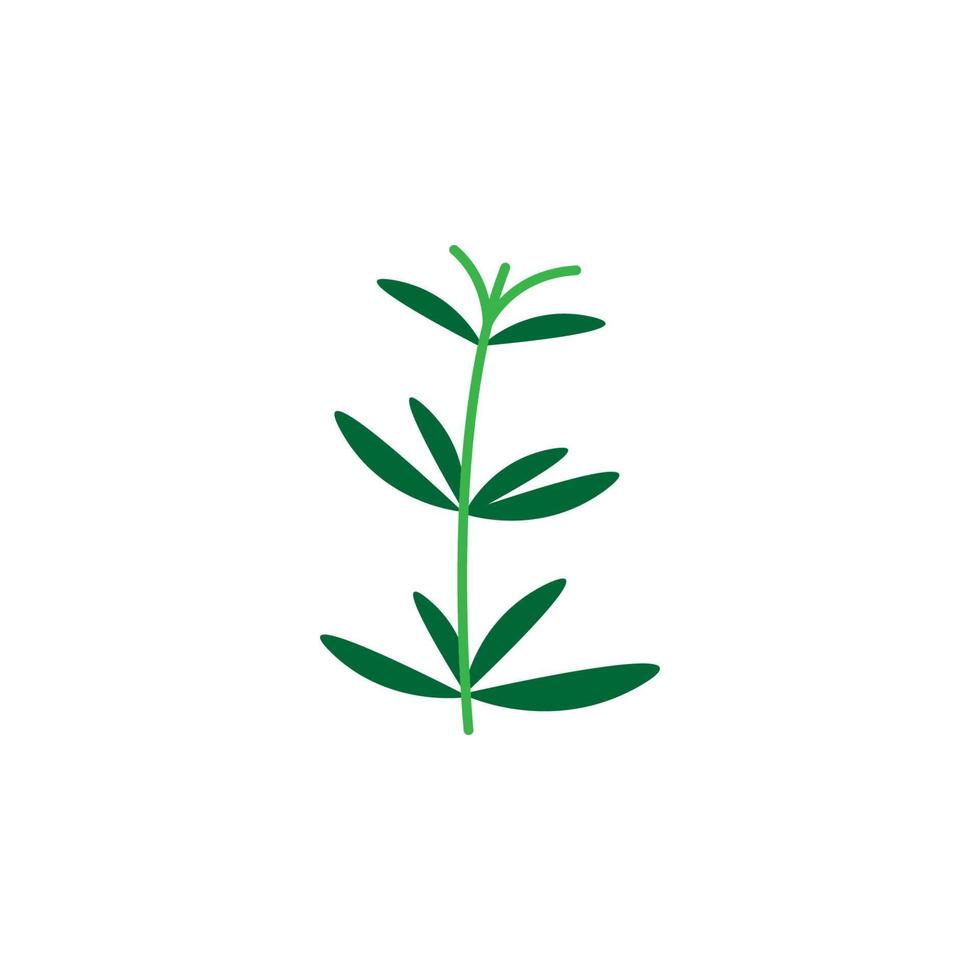 Herb vector icon