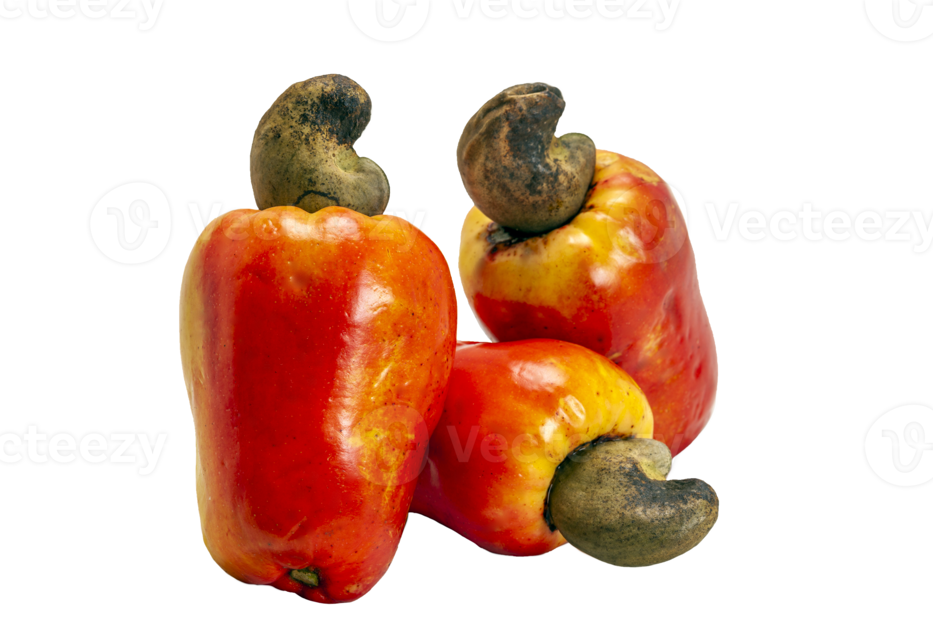 The cashew nut is the fruit of the cashew tree 22581594 PNG