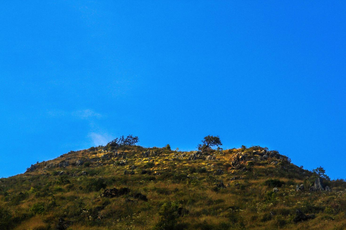 Beautiful Landscape of rocky Limestone Mountain and green forest with blu sky at Chiang doa national park in Chiangmai, Thailand photo