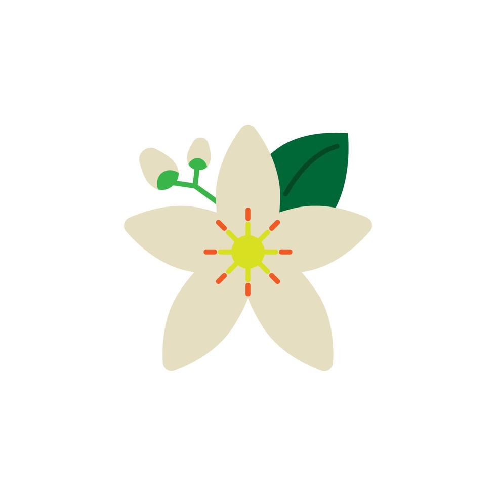 Herb, neroli vector icon