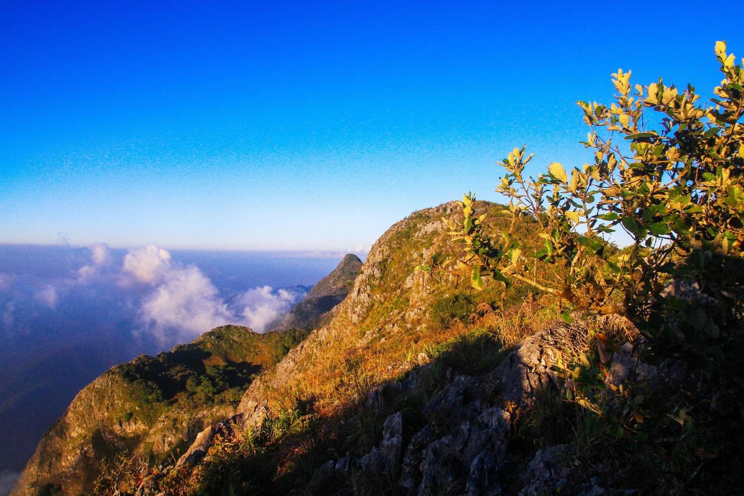 Sunrise in morning with sky and cloud on the mountain. Sunray with Fog and mist cover the jungle hill in Thailand photo