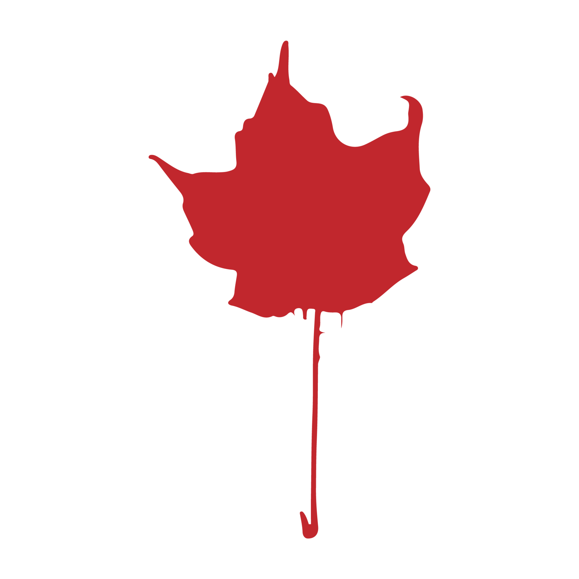 hojas perennes hoja ilustración png, hoja silueta png, hojas png