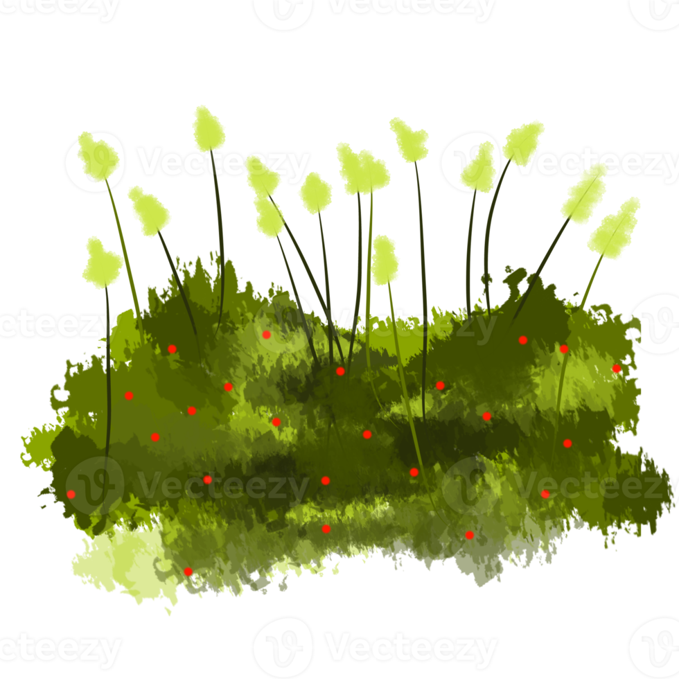 tranche de vert herbe png