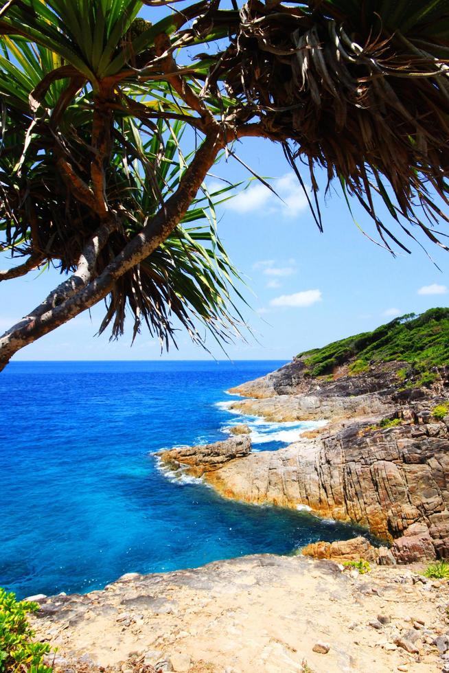 hermosa paraíso en verano de marina y mar horizonte con calma Oceano y azul cielo en rock montaña cabo.tropical playa plantas y selva isla foto