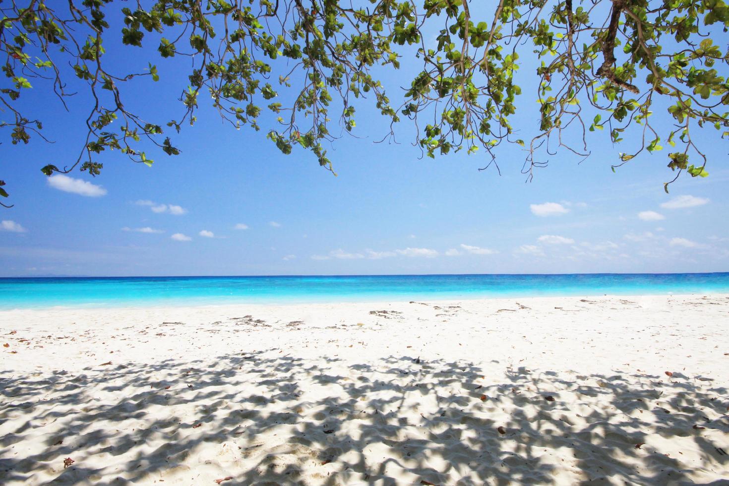 Beautiful summer of Horizon in heaven tropical seascape and branches on the blue sky. Paradise of turquoise water in calm ocean. photo