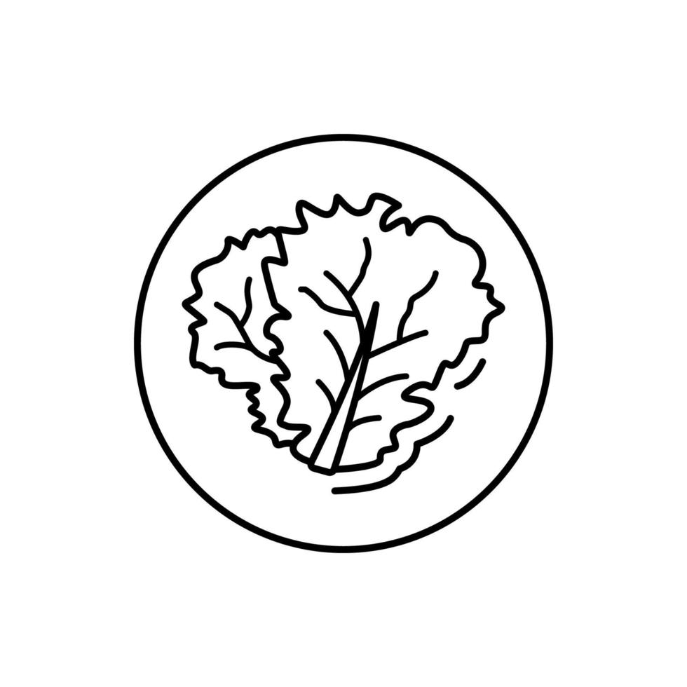 Lettuce, vegan vector icon