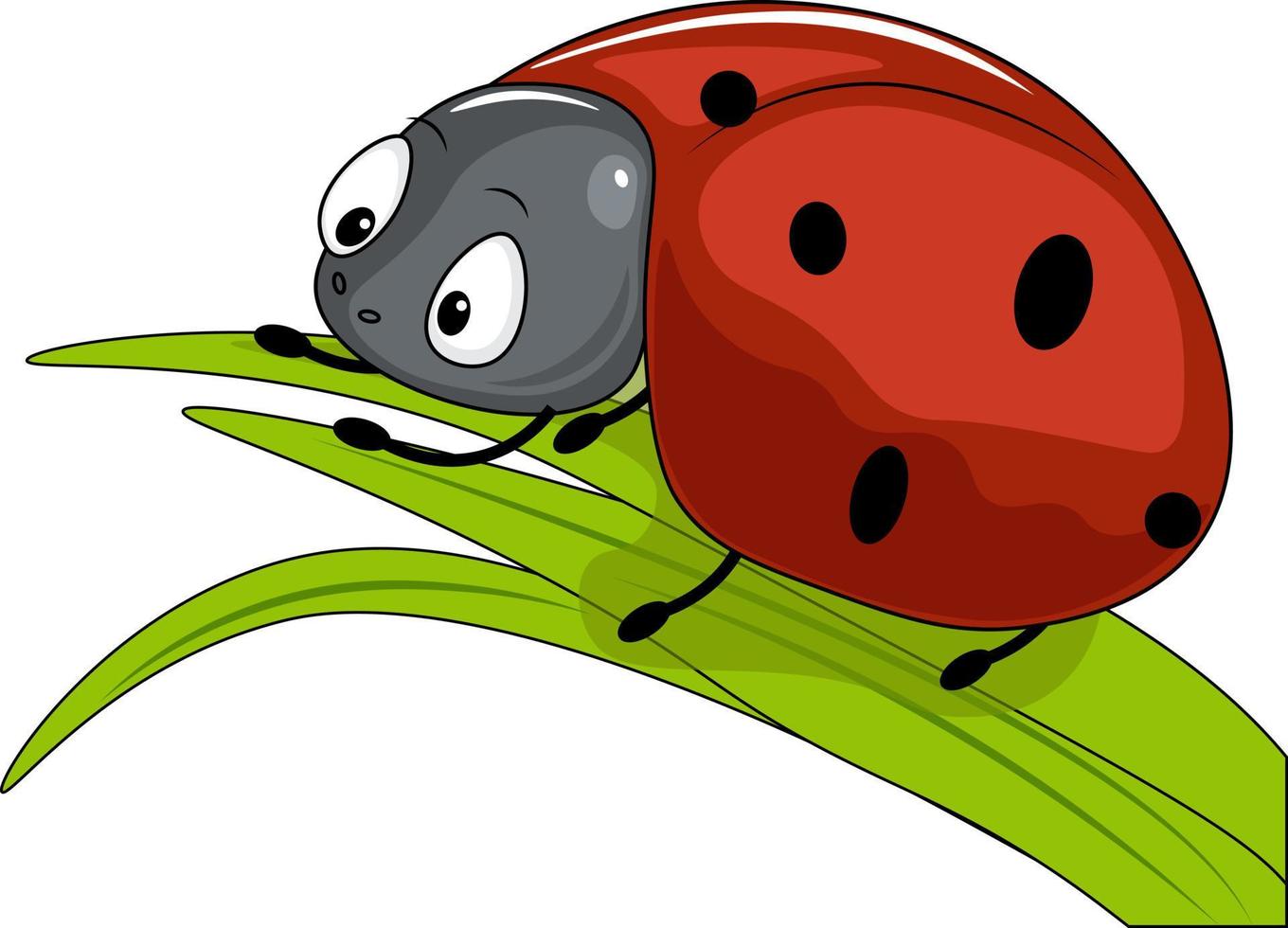 ladybug illustration on green leaf vector