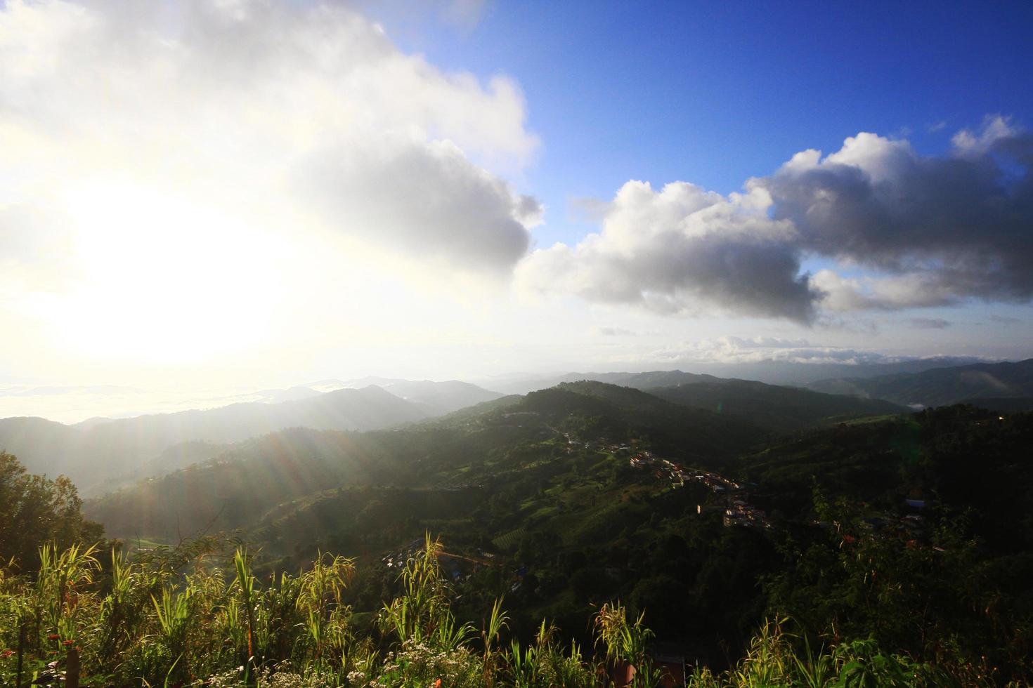 aéreo ver colina tribu pueblo y té plantación en amanecer en el montaña y bosque es muy hermosa flores prado en Chiang Rai provincia, Tailandia foto