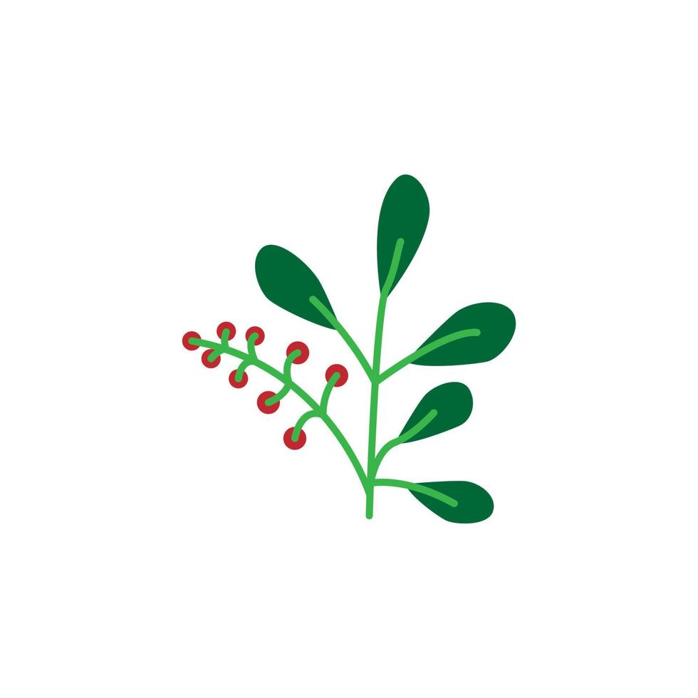 Herb, berries vector icon