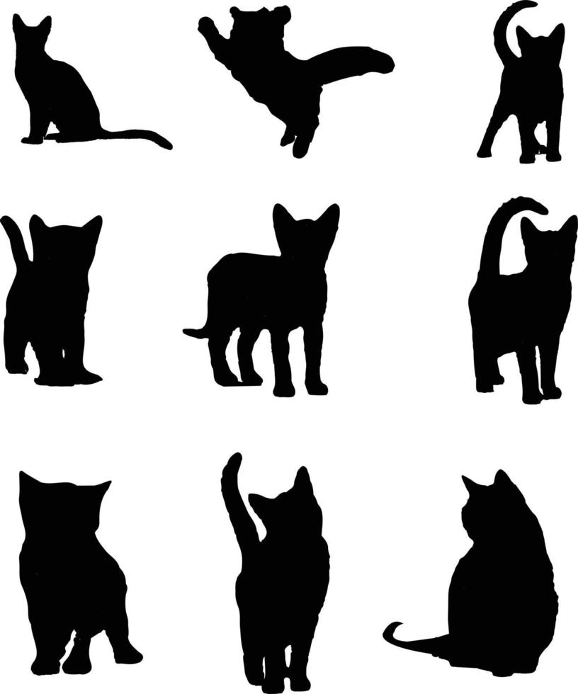 cat silhouettes vector