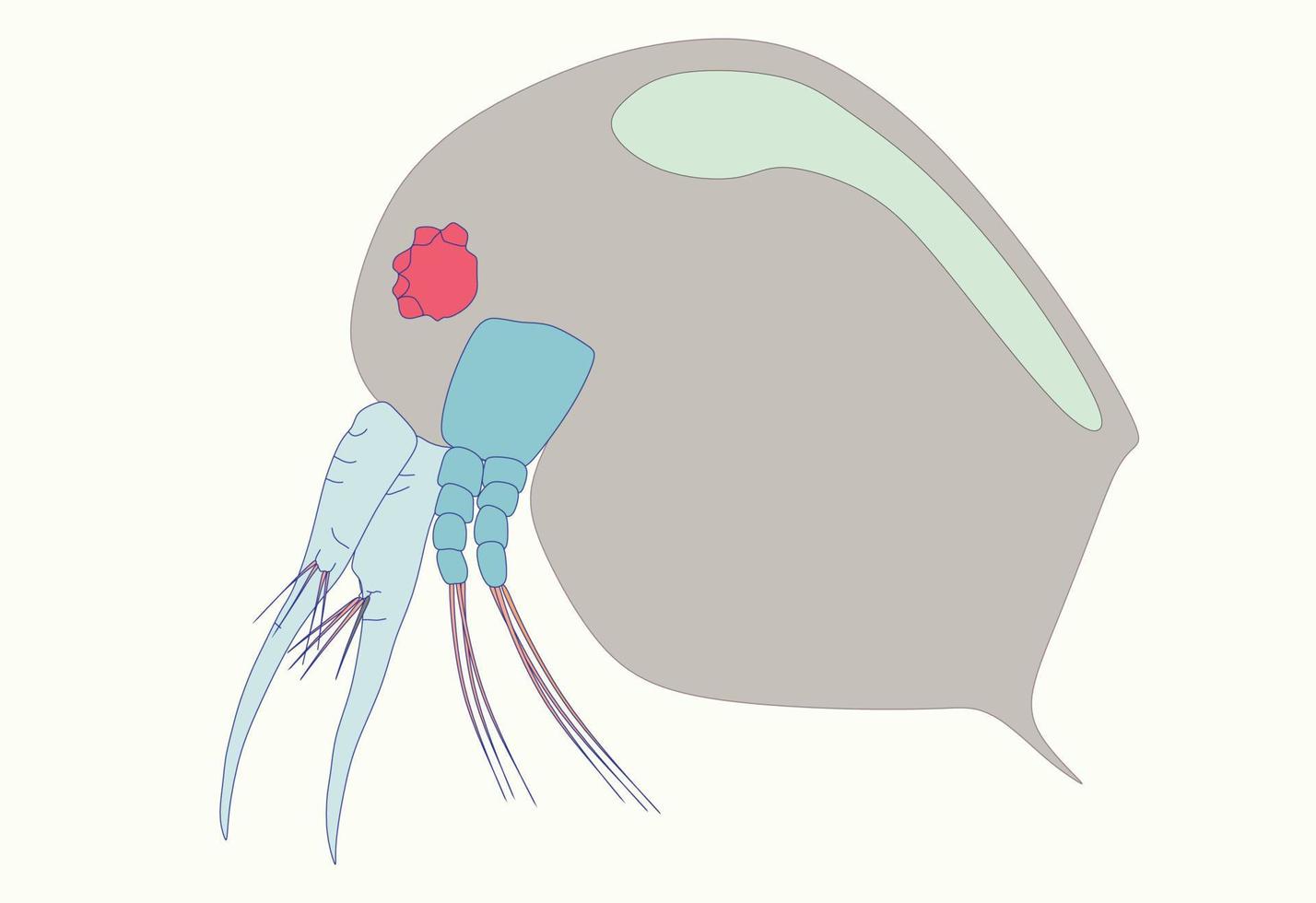 Plankton or water flea shameless vector icon. Cartoon vector icon isolated light purple color