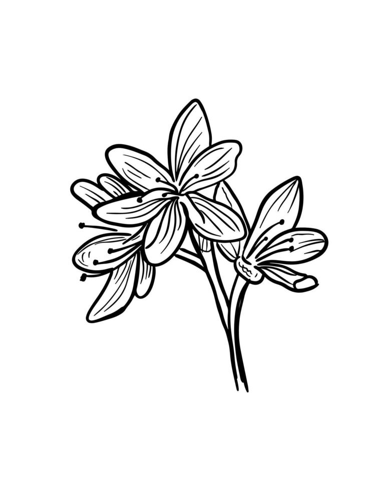 Flower vector line art