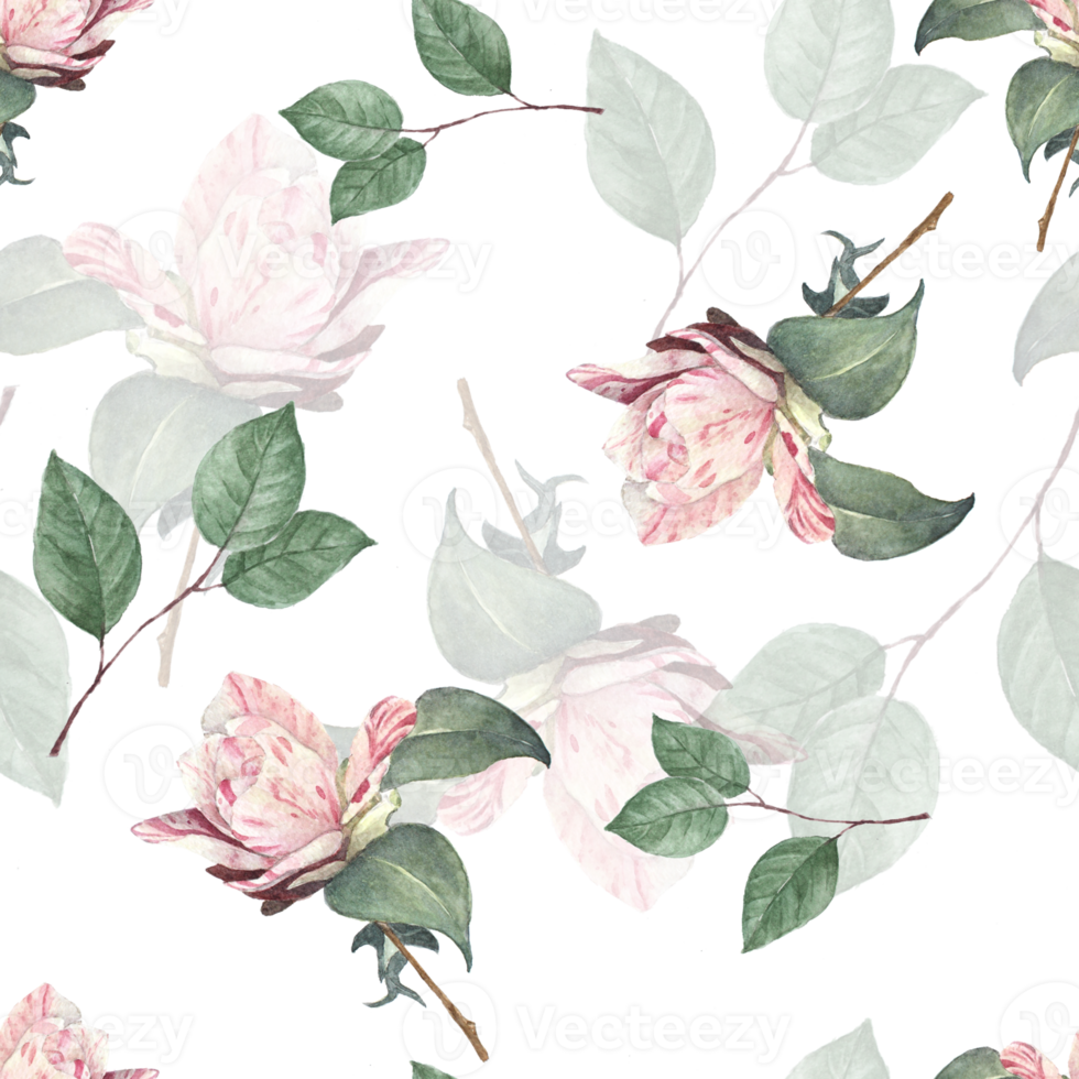 Seamless background of rose watercolor png