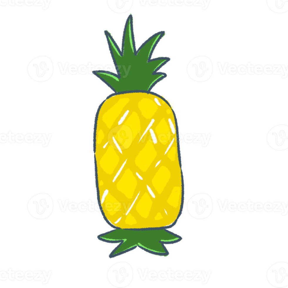 ganze Ananas Hand Zeichnung Clip Art png