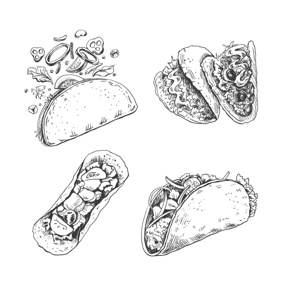 tacos colocar. dibujado a mano bosquejo ilustraciones de tradicional mexicano alimento. arriba, frente, perspectiva ver y taco con volador ingredientes. antiguo. vector