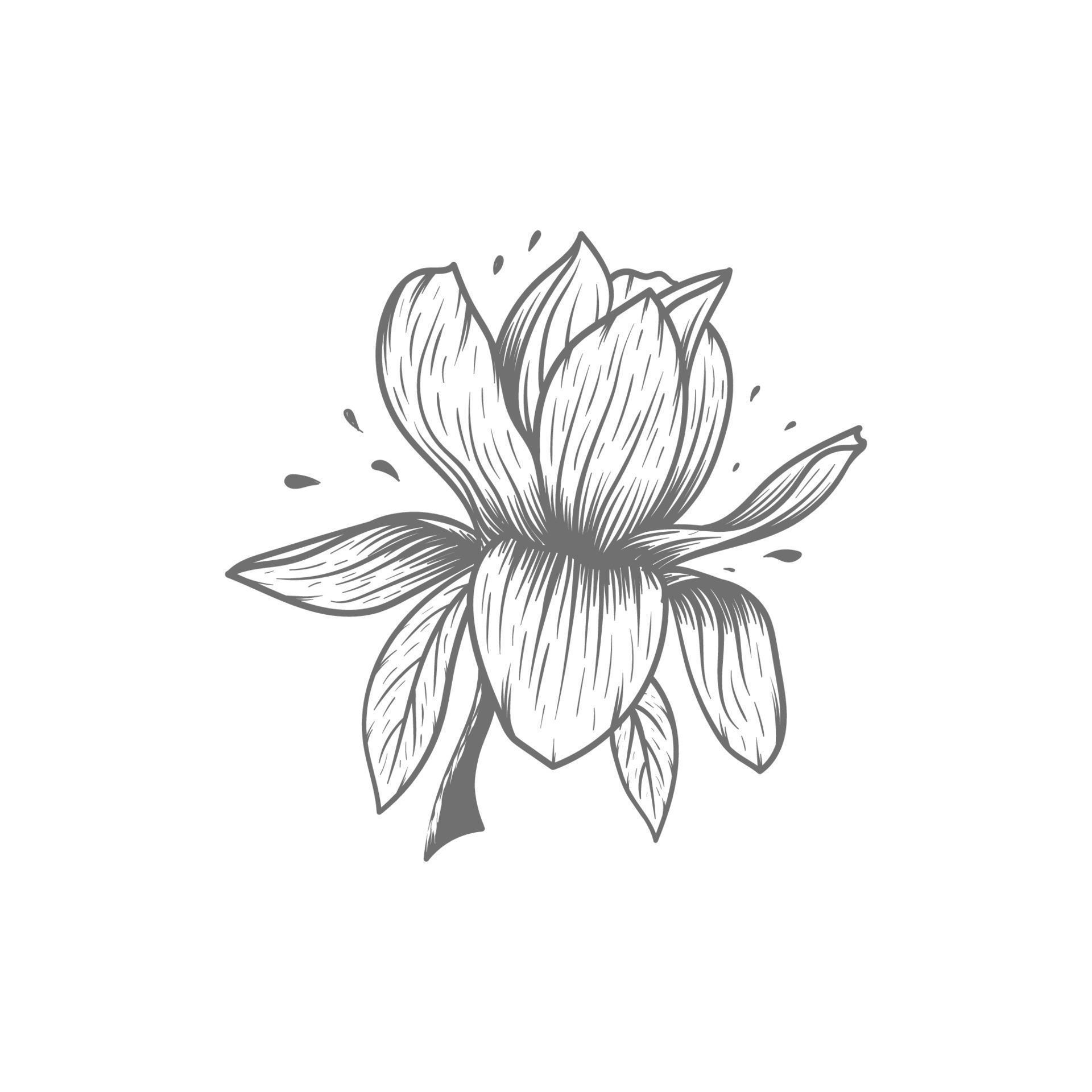 Adobe Illustrator Artwork 22587919 Vector Art At Vecteezy Adobe Illustrator Artwork 22587919 Vector Art At Vecteezy
