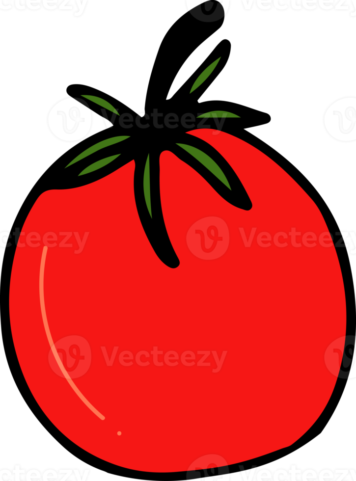 tomat teckning isolerat png