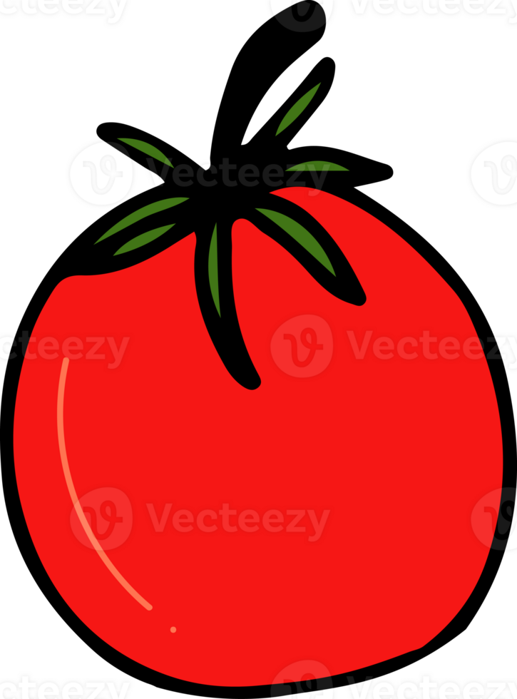 Tomato drawing isolated 22588043 PNG