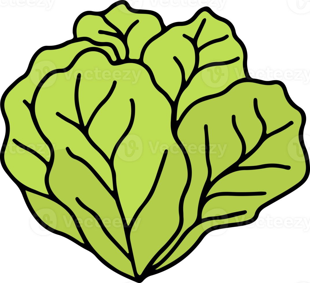 Vegetable drawing isolated png
