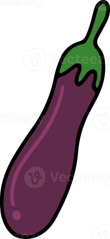 Eggplant drawing isolated png