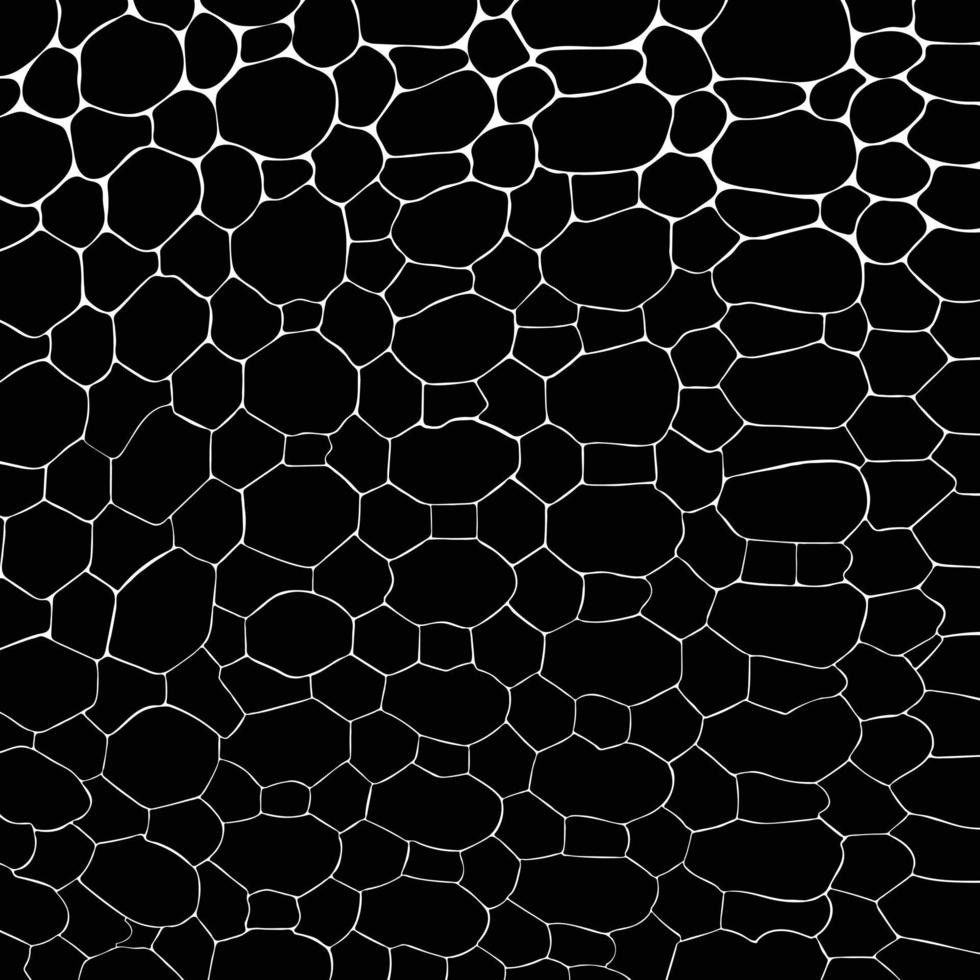 Vector black snake print pattern animal seamless. Snake skin abstract for printing, cutting, and crafts Ideal for mugs, stickers, stencils, web, cover, wall stickers, home decorate and more.