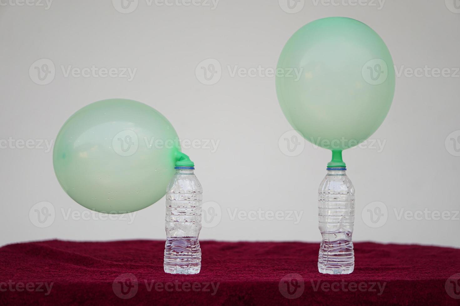 Inflated balloons on top of transparent test bottles. Concept, science experiment about reaction of chemical substance, vinegar and baking soda that cause balloon inflat. Last step of experiment photo